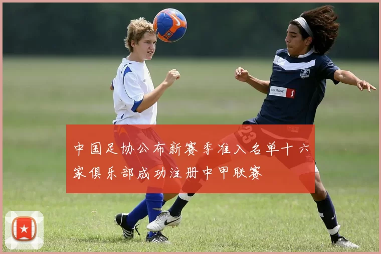 中国足协公布新赛季准入名单十六家俱乐部成功注册中甲联赛