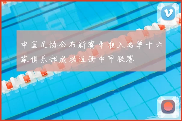 中国足协公布新赛季准入名单十六家俱乐部成功注册中甲联赛